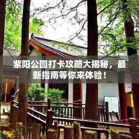 紫阳公园打卡攻略大揭秘，最新指南等你来体验！