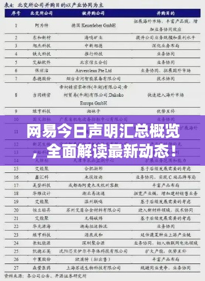 网易今日声明汇总概览，全面解读最新动态！