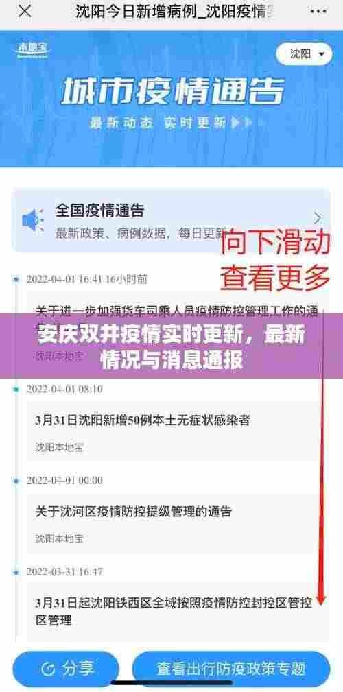 安庆双井疫情实时更新,最新情况与消息通报