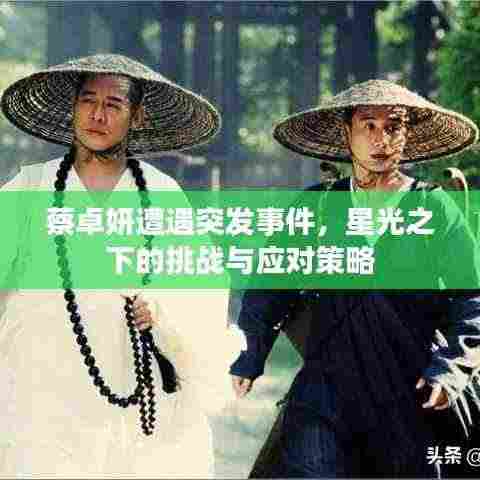 蔡卓妍遭遇突发事件,星光之下的挑战与应对策略