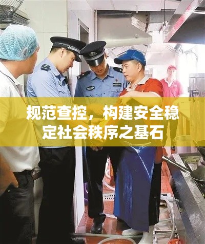 规范查控,构建安全稳定社会秩序之基石