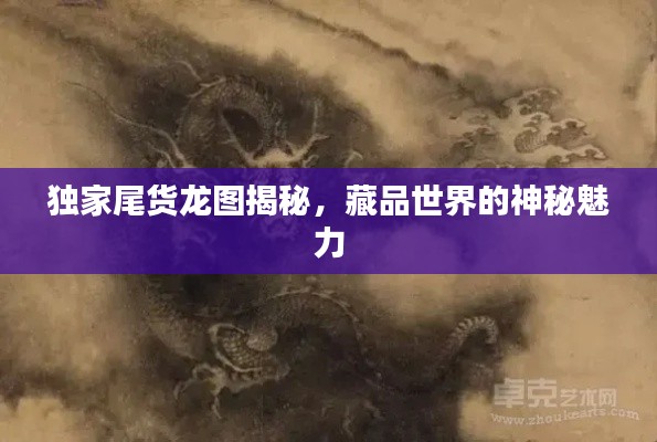 独家尾货龙图揭秘,藏品世界的神秘魅力
