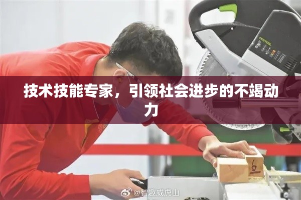 技术技能专家，引领社会进步的不竭动力