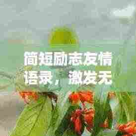 简短励志友情语录,激发无限正能量的友情力量