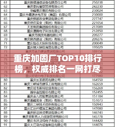 重庆加固厂TOP10排行榜，权威排名一网打尽！