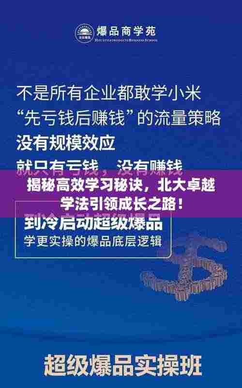 揭秘高效学习秘诀，北大卓越学法引领成长之路！