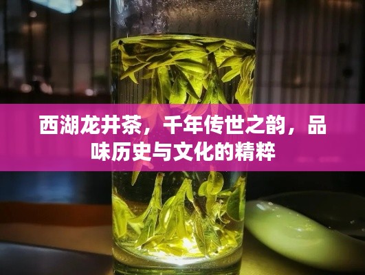 西湖龙井茶,千年传世之韵,品味历史与文化的精粹
