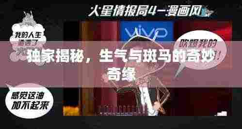 独家揭秘,生气与斑马的奇妙奇缘