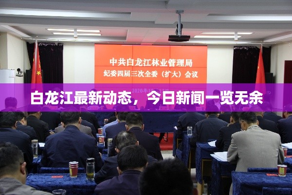 白龙江最新动态，今日新闻一览无余