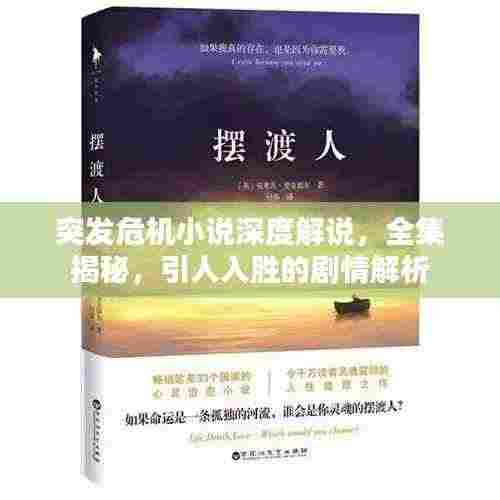 突发危机小说深度解说，全集揭秘，引人入胜的剧情解析