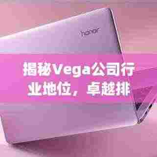 揭秘Vega公司行业地位，卓越排名不容小觑