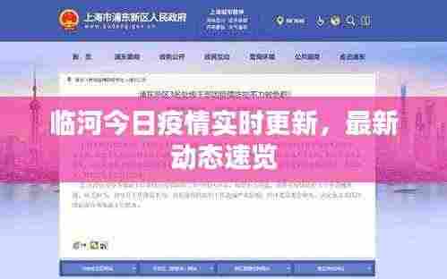 临河今日疫情实时更新，最新动态速览