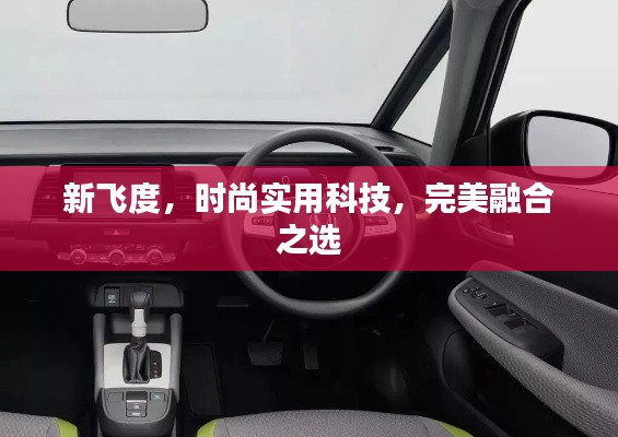新飞度,时尚实用科技,完美融合之选