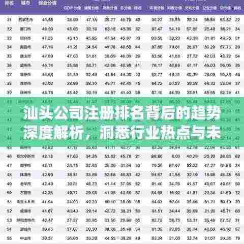 汕头公司注册排名背后的趋势深度解析，洞悉行业热点与未来发展方向