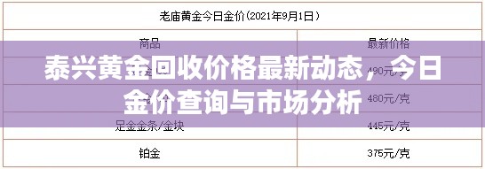 泰兴黄金回收价格最新动态，今日金价查询与市场分析