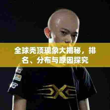 全球秃顶现象大揭秘,排名、分布与原因探究