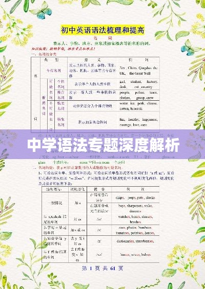 中学语法专题深度解析