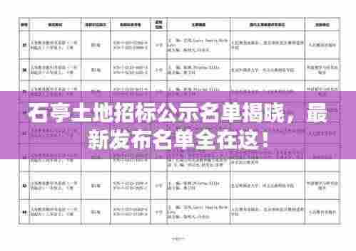石亭土地招标公示名单揭晓,最新发布名单全在这!