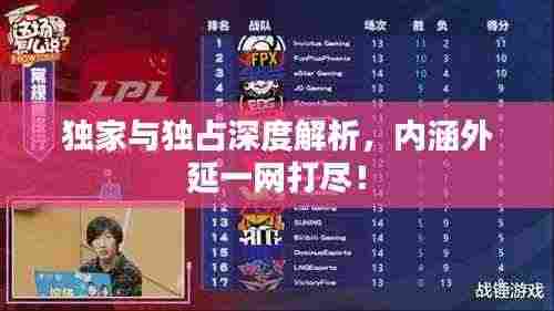 独家与独占深度解析,内涵外延一网打尽!