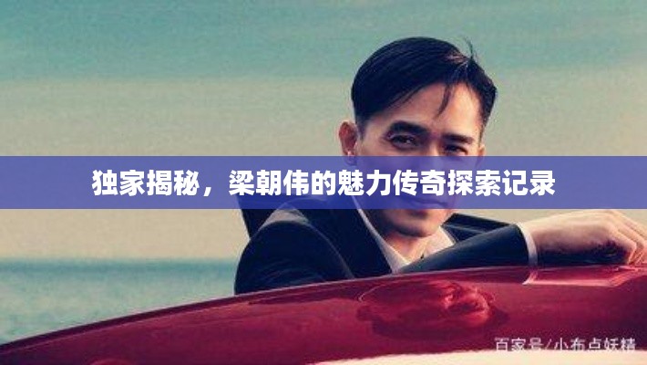 独家揭秘，梁朝伟的魅力传奇探索记录