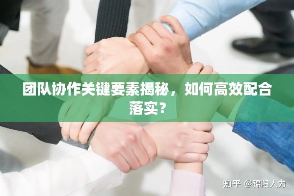 团队协作关键要素揭秘,如何高效配合落实?
