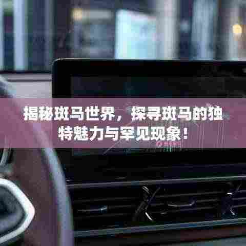 揭秘斑马世界，探寻斑马的独特魅力与罕见现象！