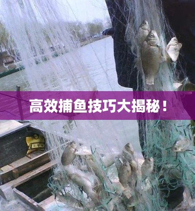 高效捕鱼技巧大揭秘！
