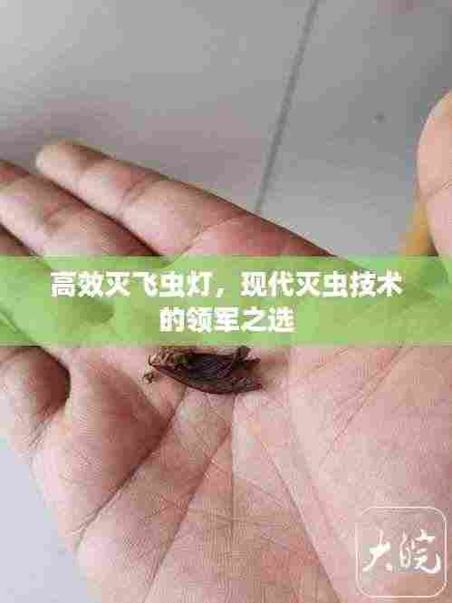 高效灭飞虫灯，现代灭虫技术的领军之选