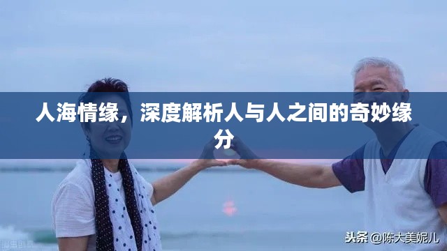 人海情缘，深度解析人与人之间的奇妙缘分