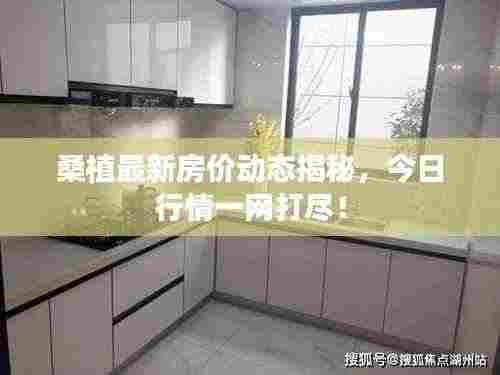 桑植最新房价动态揭秘,今日行情一网打尽!