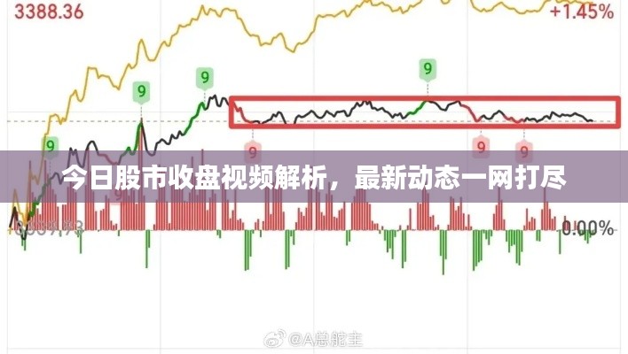 今日股市收盘视频解析,最新动态一网打尽