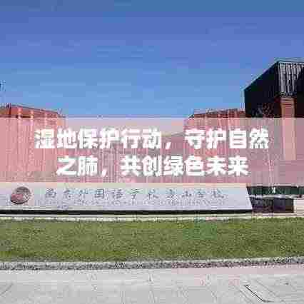 湿地保护行动,守护自然之肺,共创绿色未来