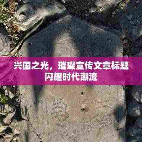 兴国之光,璀璨宣传文章标题闪耀时代潮流