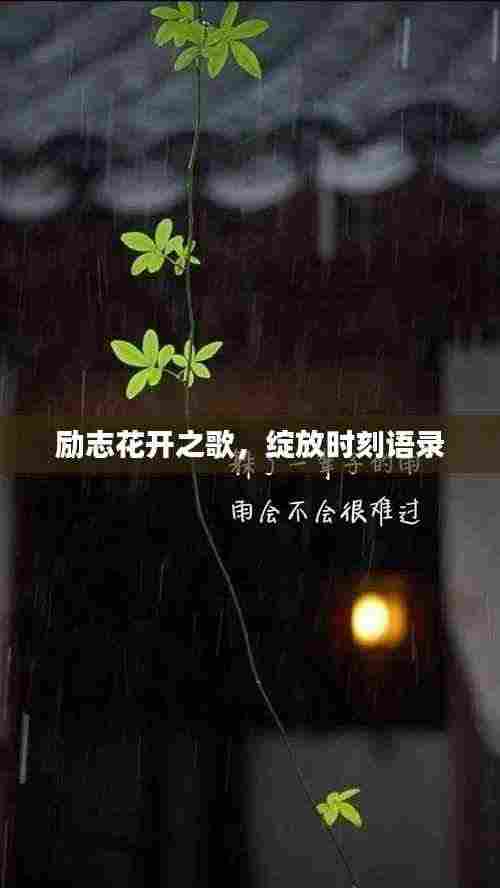 励志花开之歌,绽放时刻语录