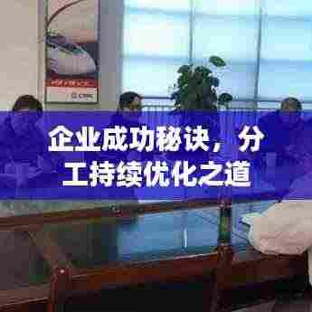 企业成功秘诀,分工持续优化之道