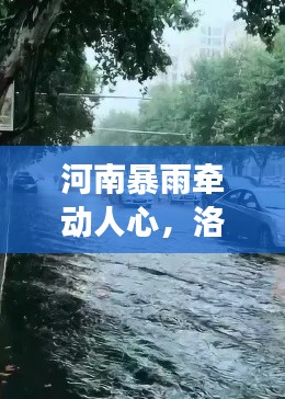 河南暴雨牵动人心，洛阳暴雨实时视频记录观察